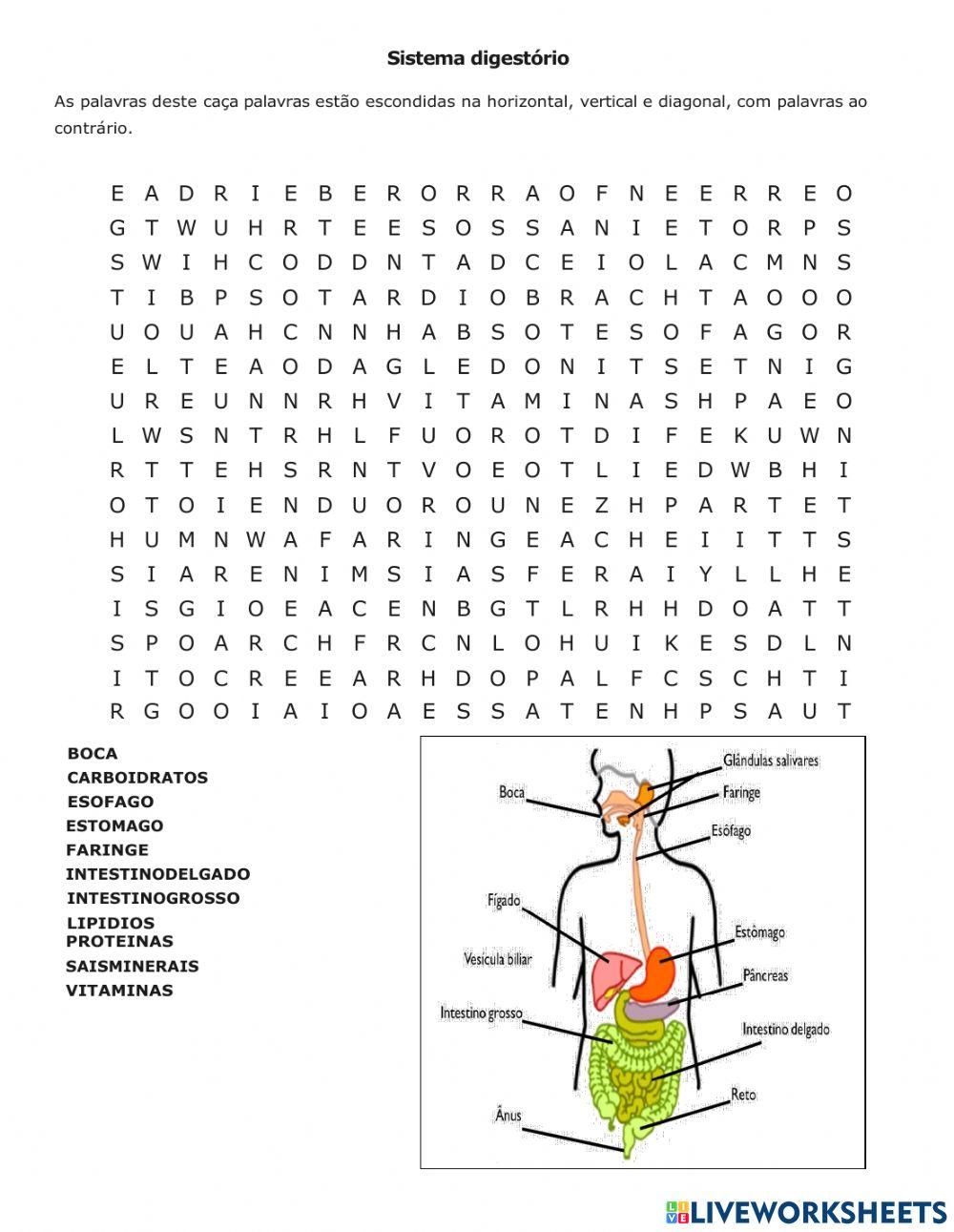 Sistema Digestório 712162 Deboracm Live Worksheets Sistema Digestório 712162 Deboracm Live Worksheets