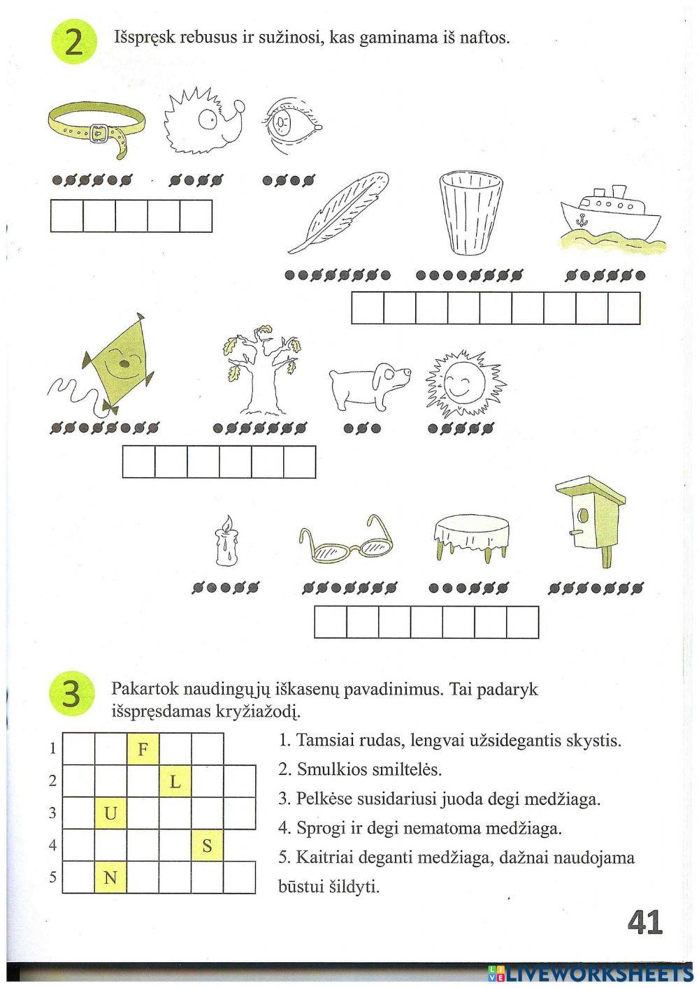 Naugingosios iškasenos 2 kl
