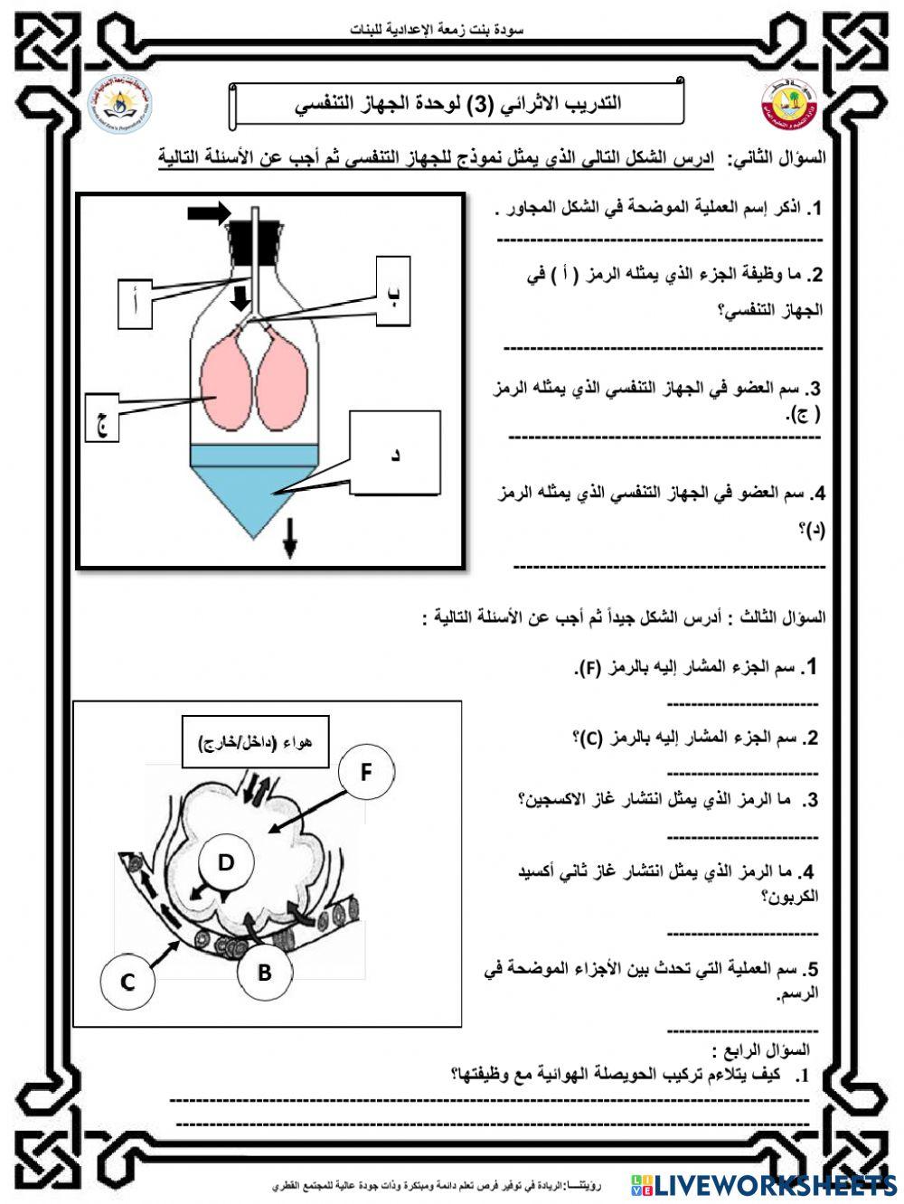 الجهاز التنفسي