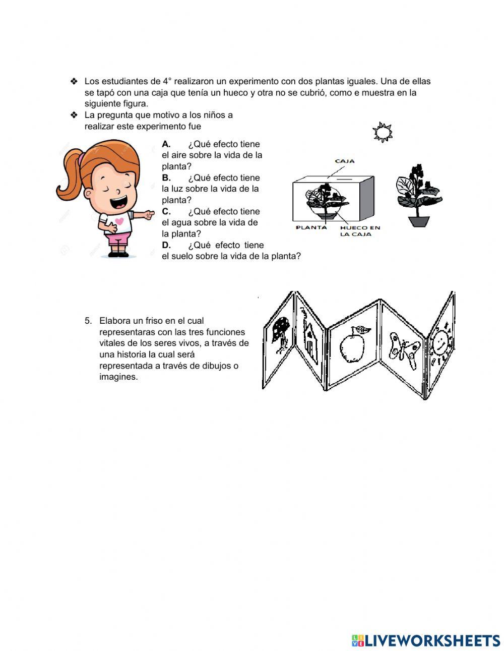 Funciones vitales de los seres vivos