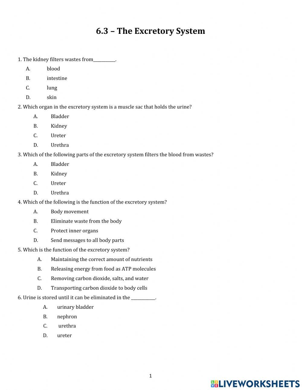 The Excretory System