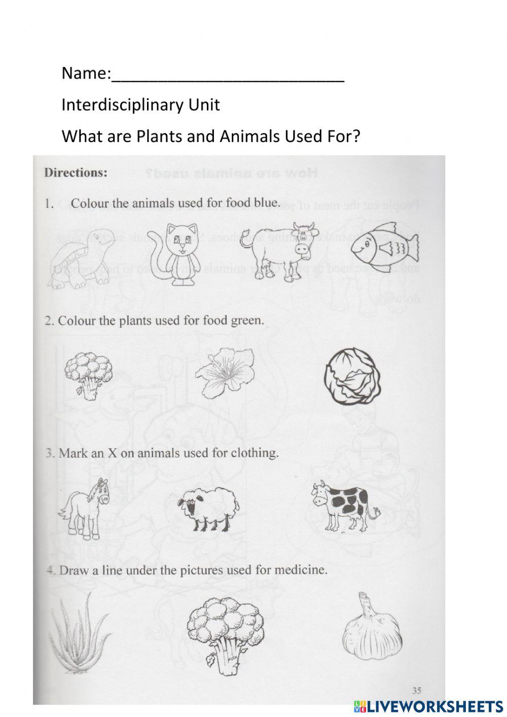 What Plants and Animals are Used For?