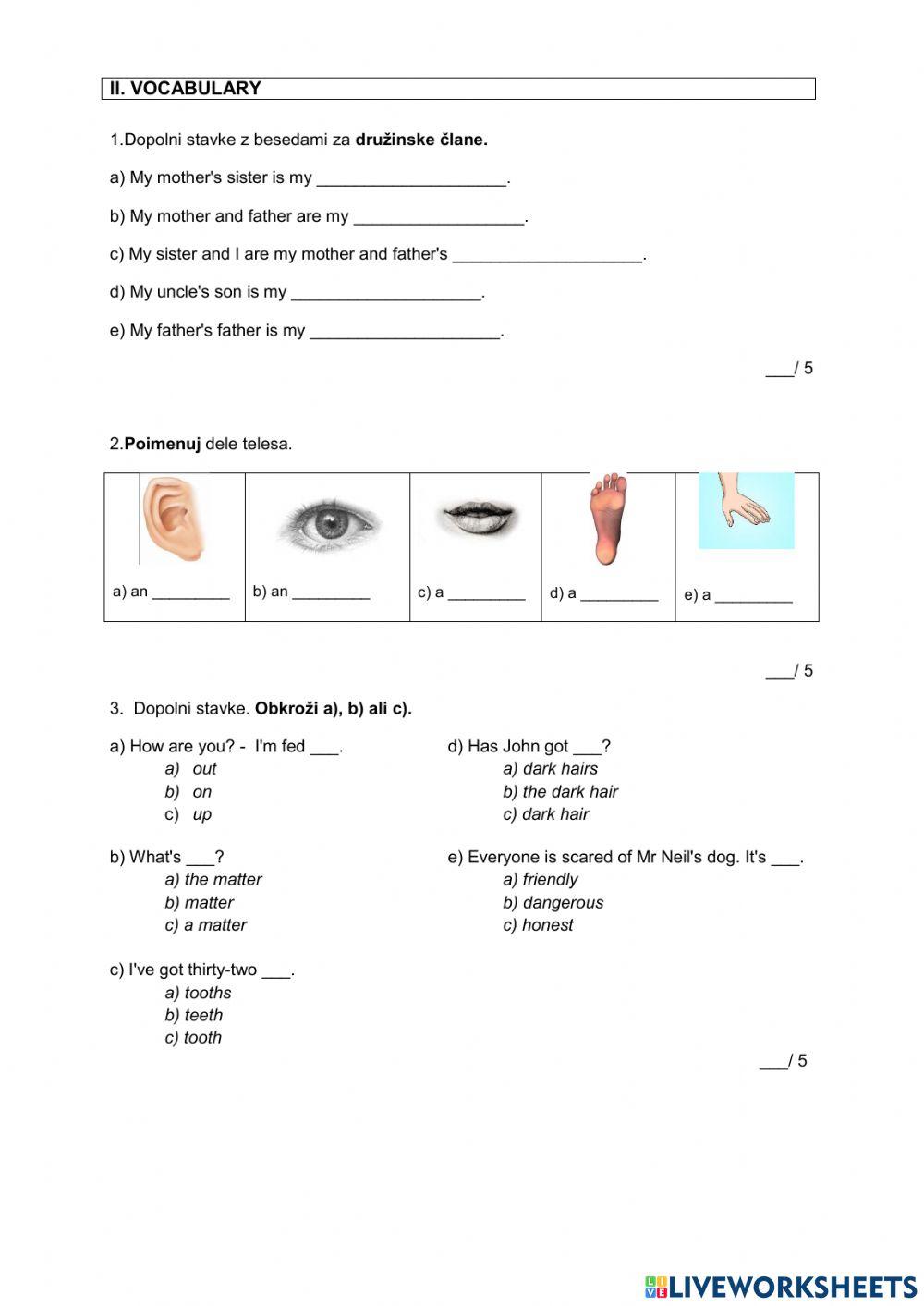 Preverjanje znanja m1
