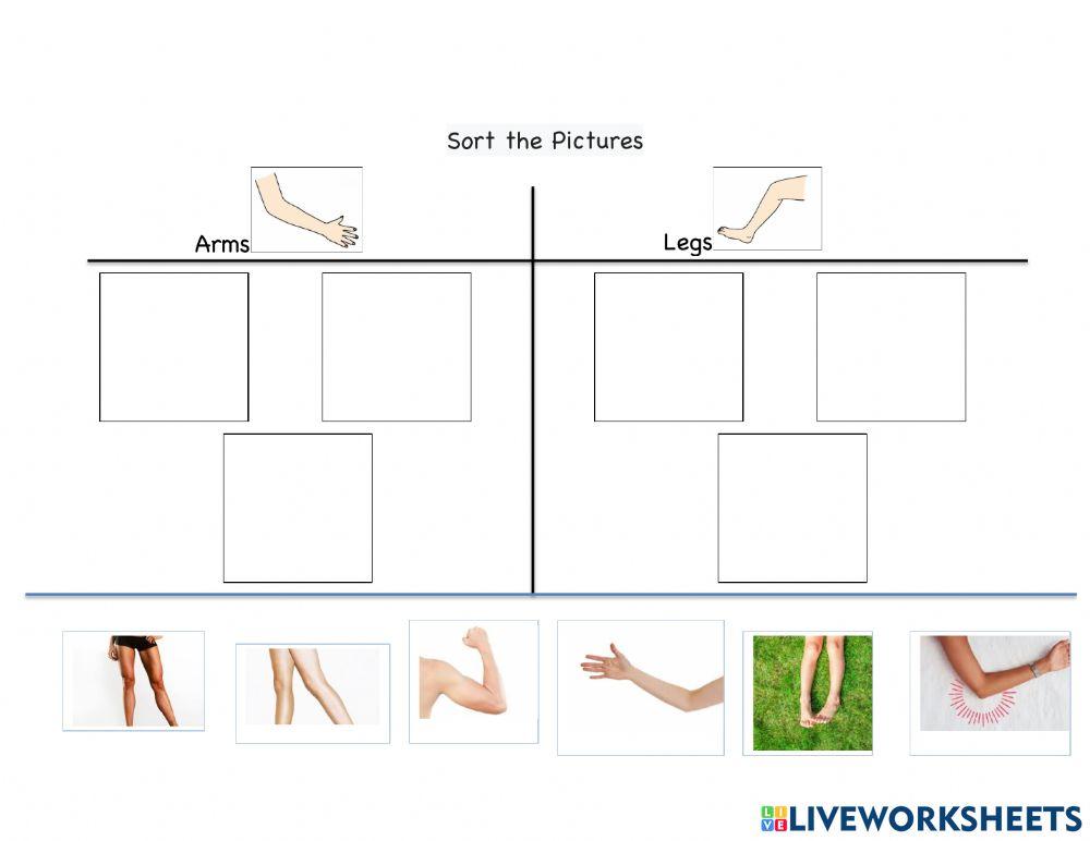 Sort arms and legs