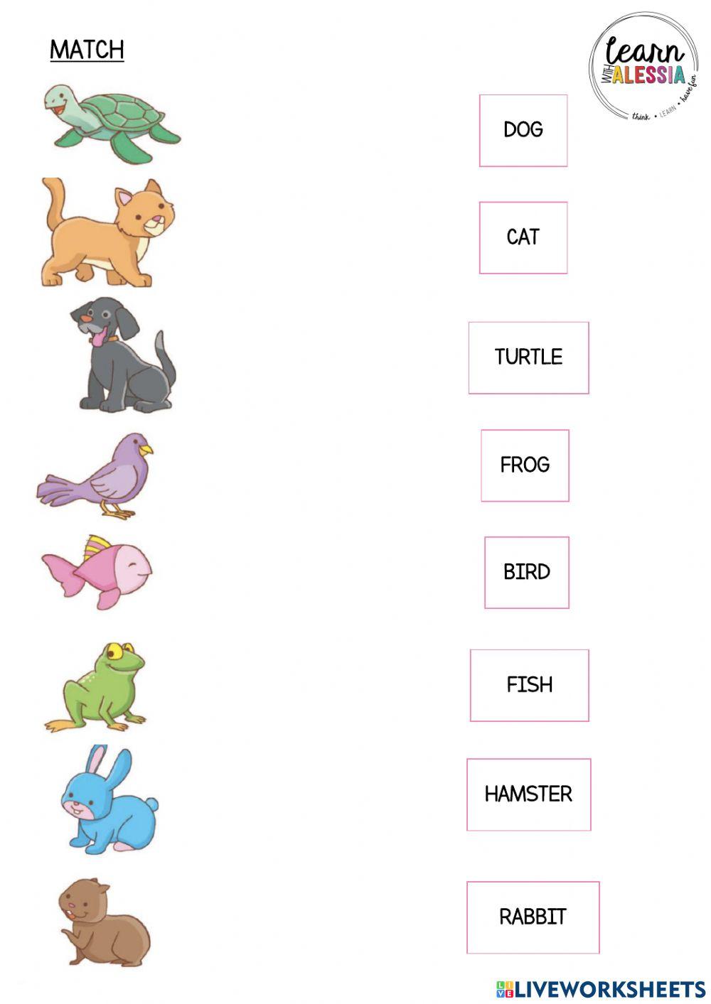 Pets Pets