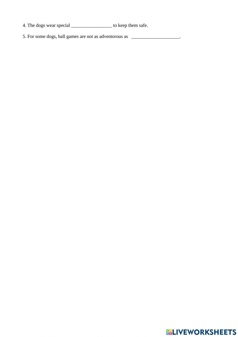 Dogs on Surfboards Reading Comprehension