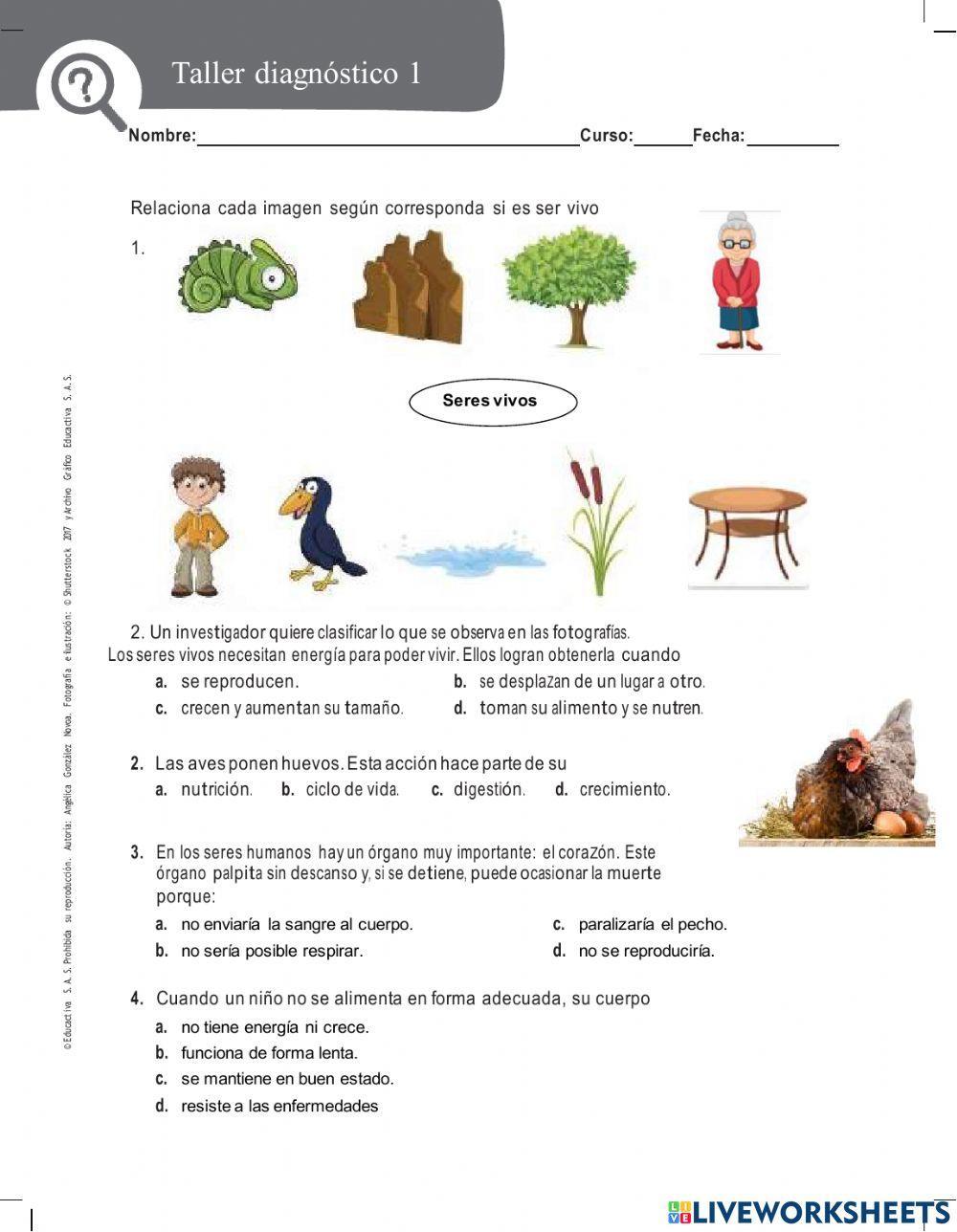 Taller diagnostico grado tercero