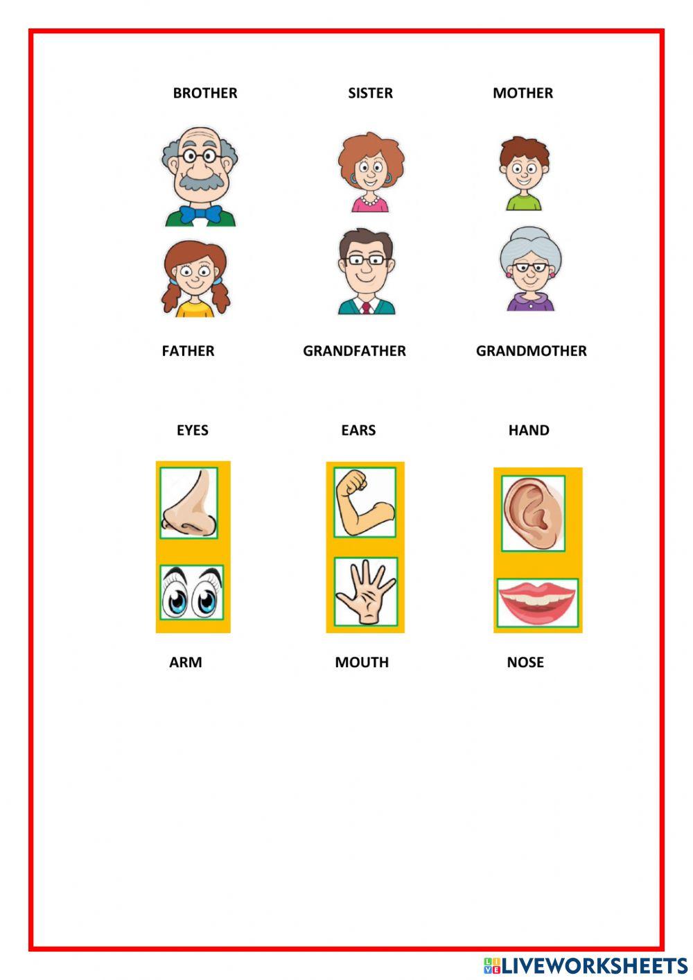 Vocabulary review 1º
