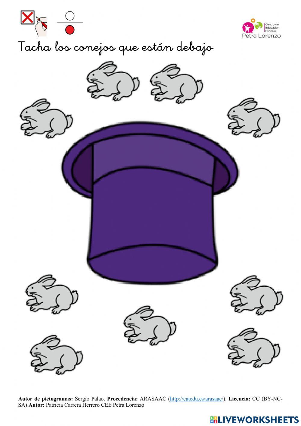 SA Carnaval. Arriba-abajo