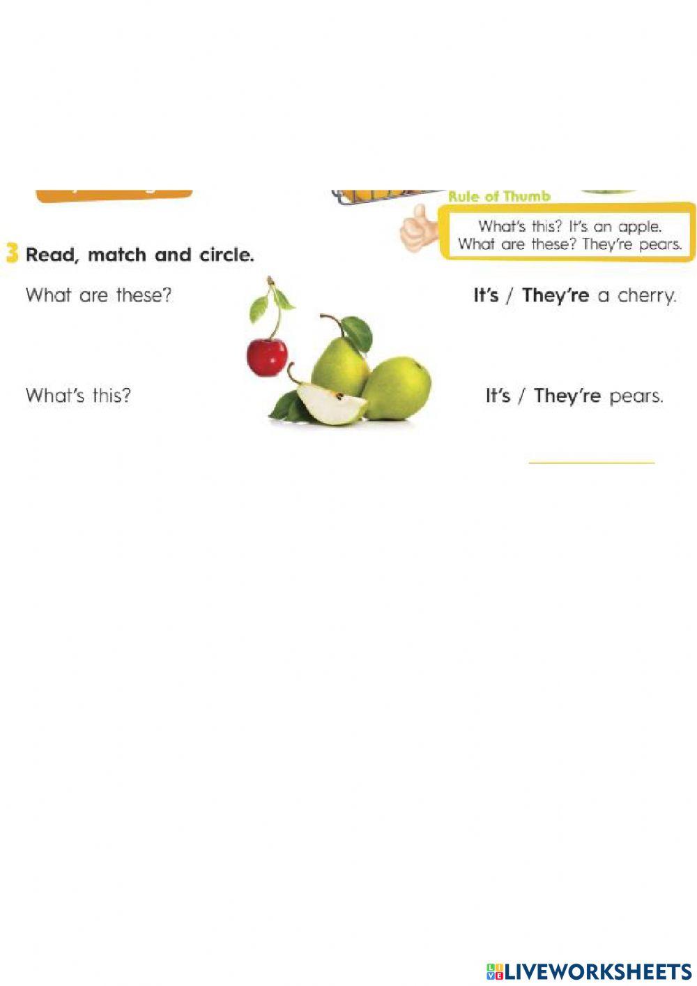 Kids 4 - Match Fruits (Plural - Singular)