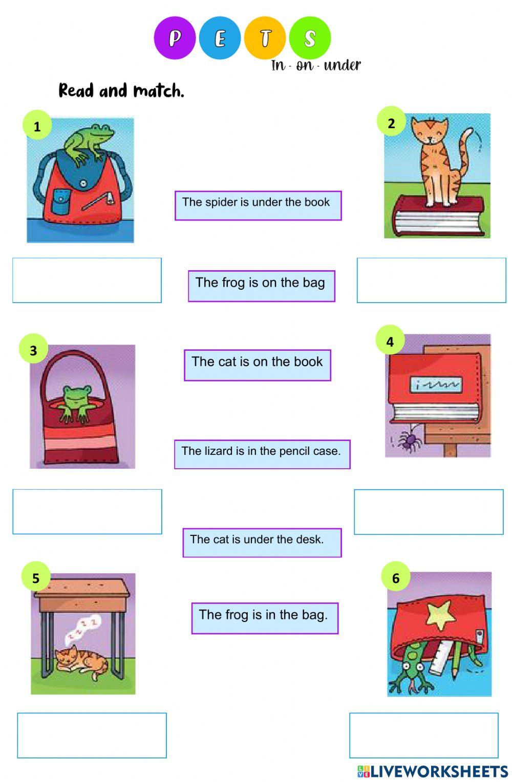 Pets and in-on-under