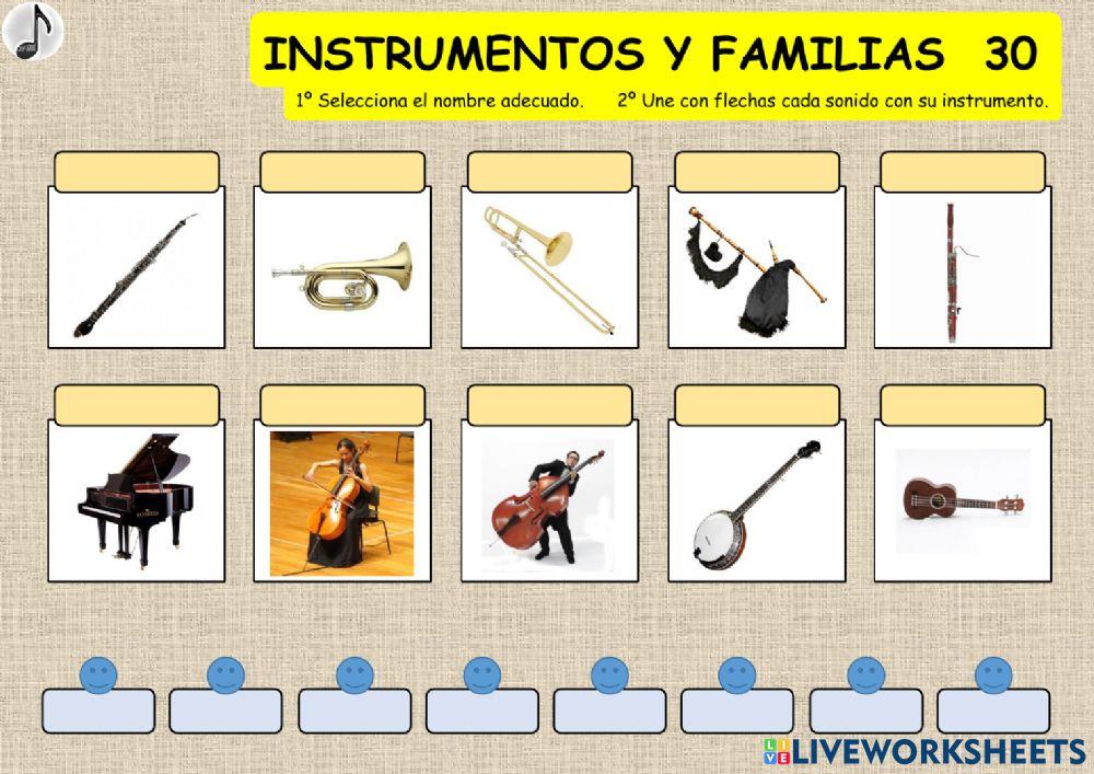 INSTRUMENTOS MUSICALES Y FAMILIAS 30