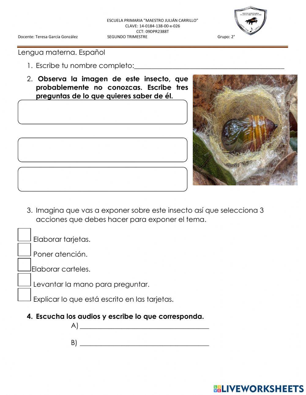 Lengua materna 2 trimestre