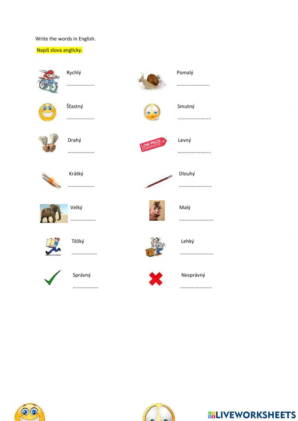 Testovací doplňovačka - napiš slova anglicky.