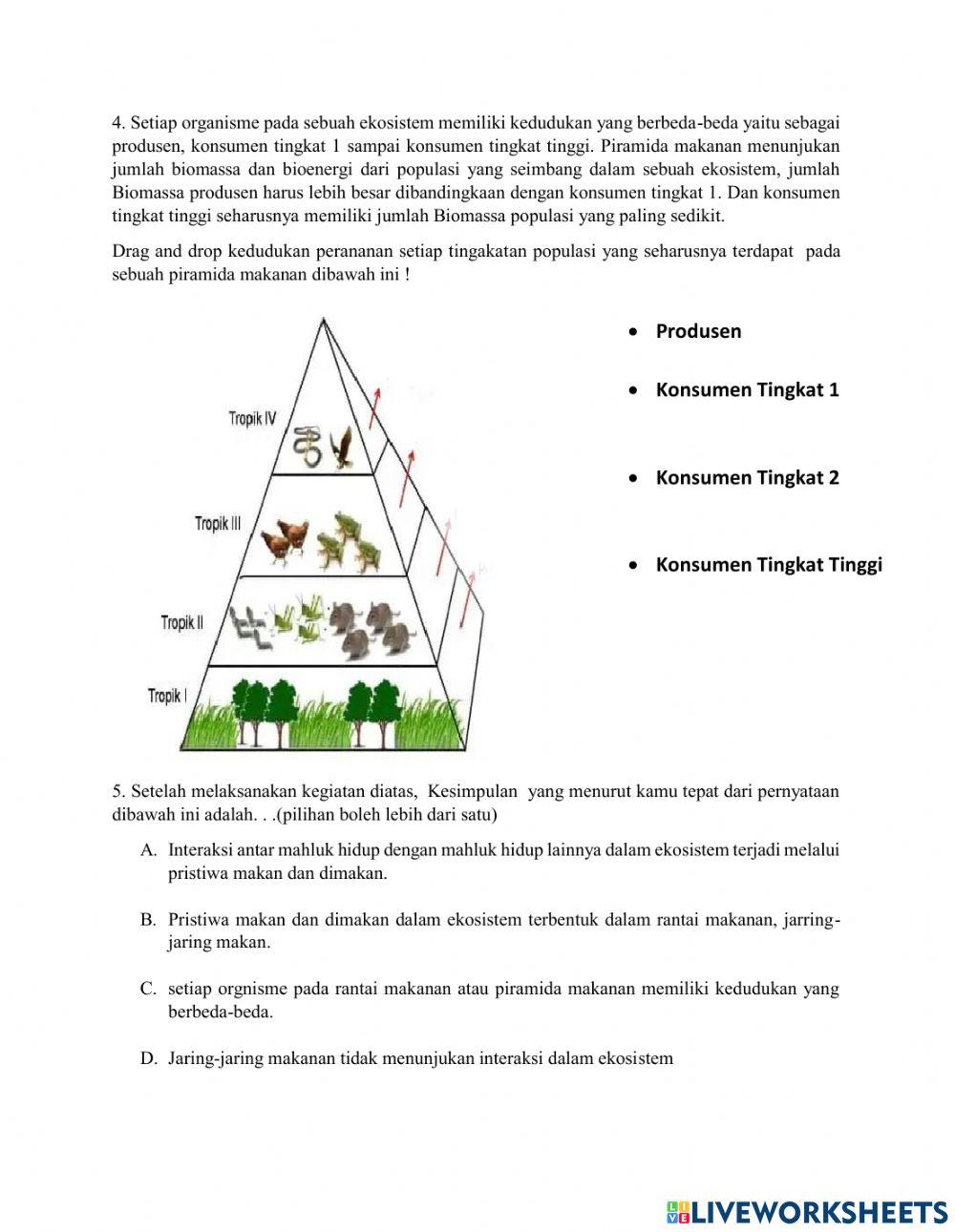 Interaksi Dalam Ekosiste melalui Peristiwa Makan dan dimakan