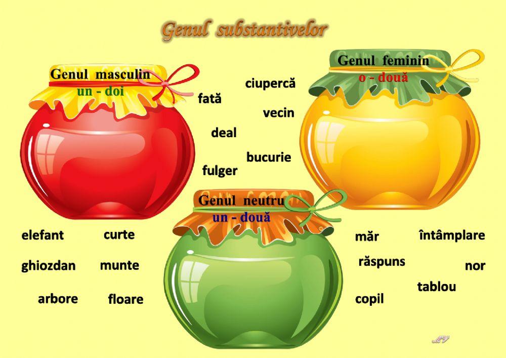 Genul substantivelor
