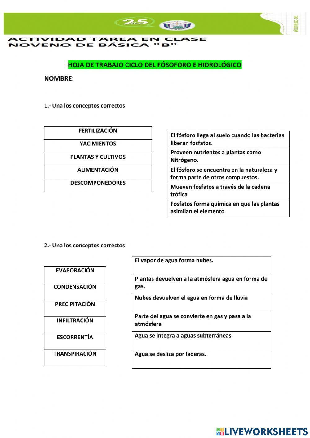 CICLO DEL FÓSFORO E HIDROLÓGICO 