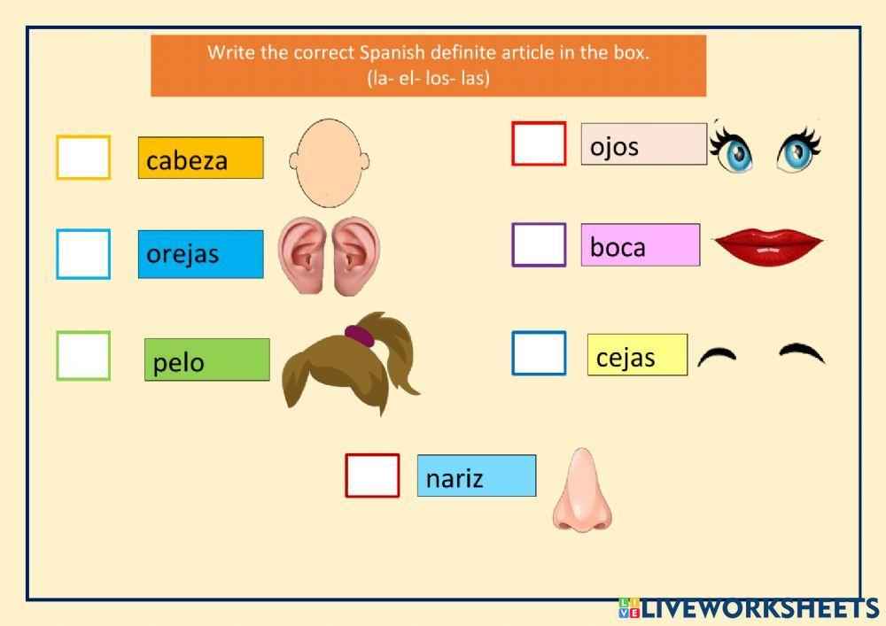 Definite Articles in Spanish and the Head