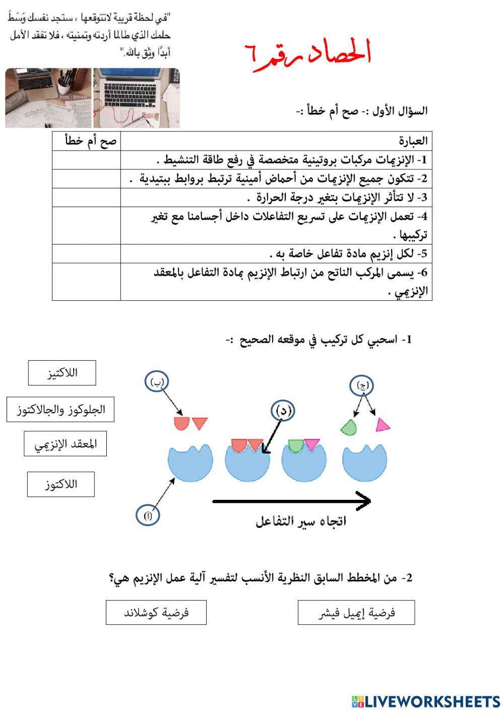 الحصاد رقم 6