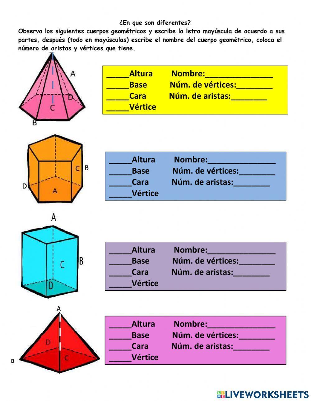 Partes de un cuerpo geométrico
