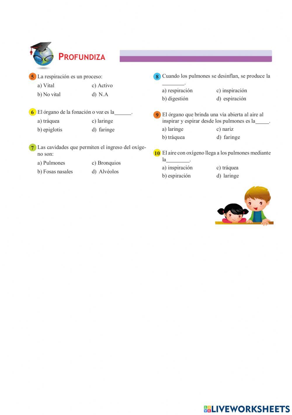 El sistema respiratorio
