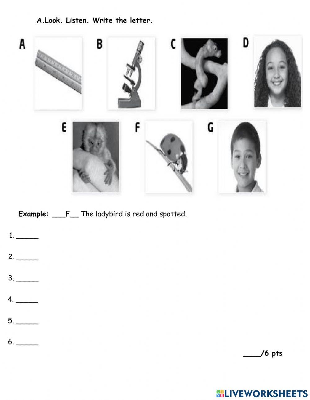 P5 English Unit 5 Control 