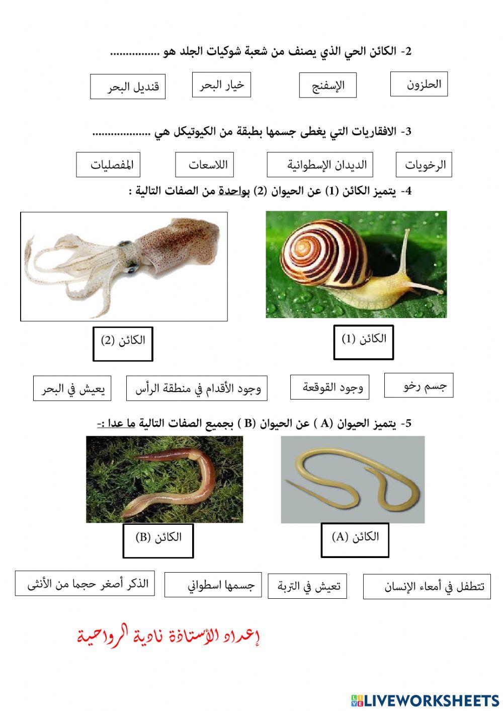 الحصاد رقم 7