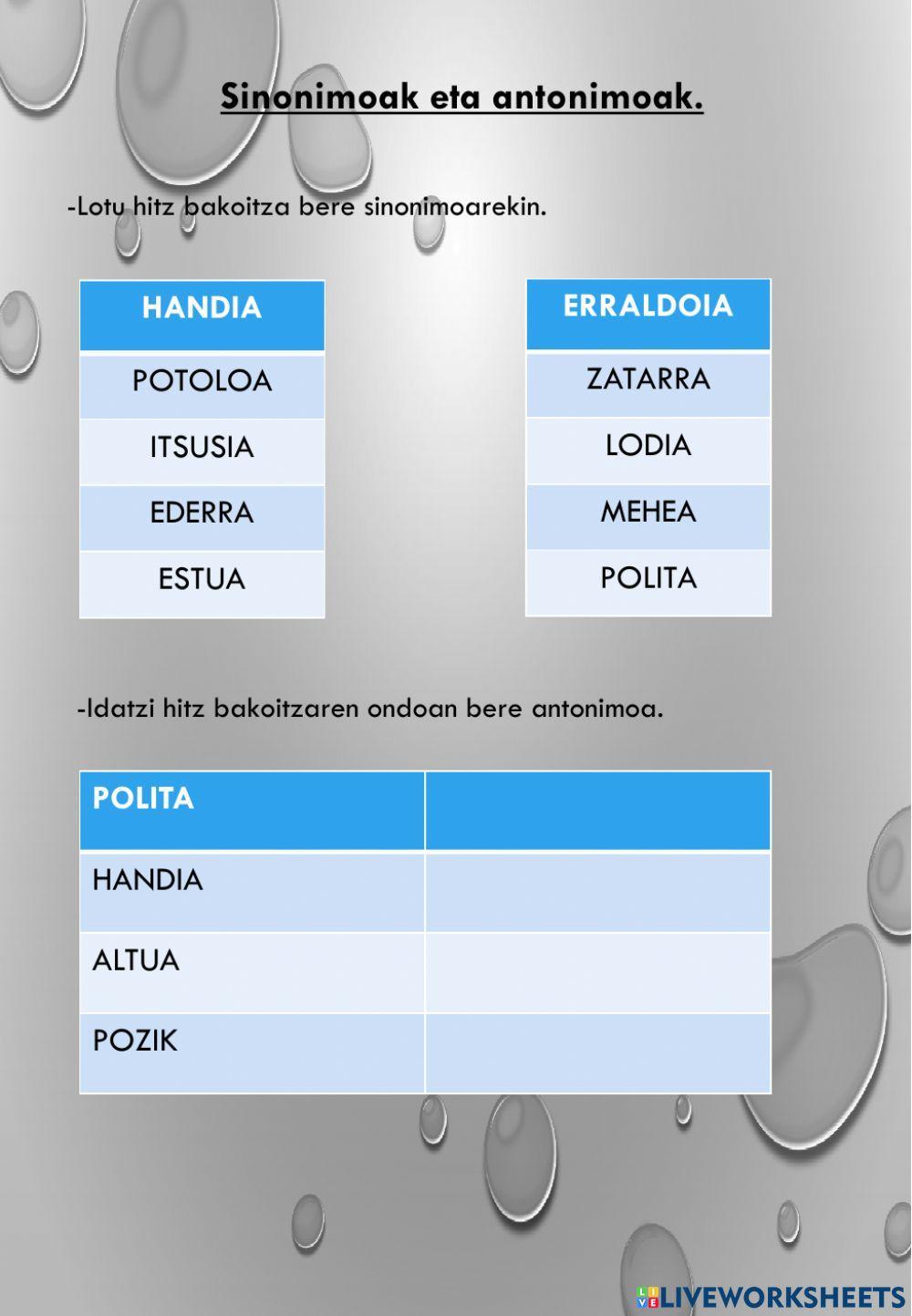 Sinonimoak eta antonimoak Sinonimoak eta antonimoak