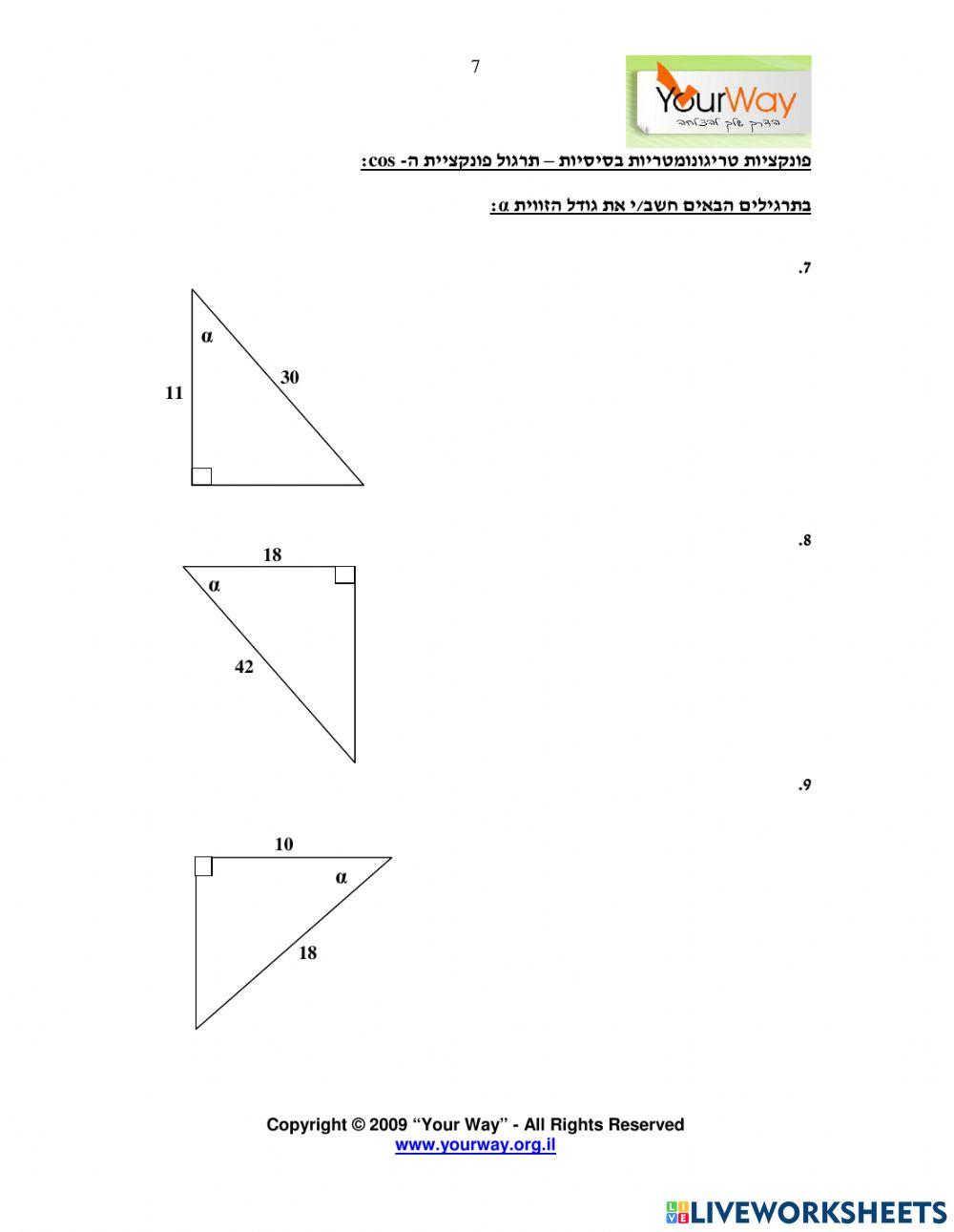 טריגונומטריה בסיס