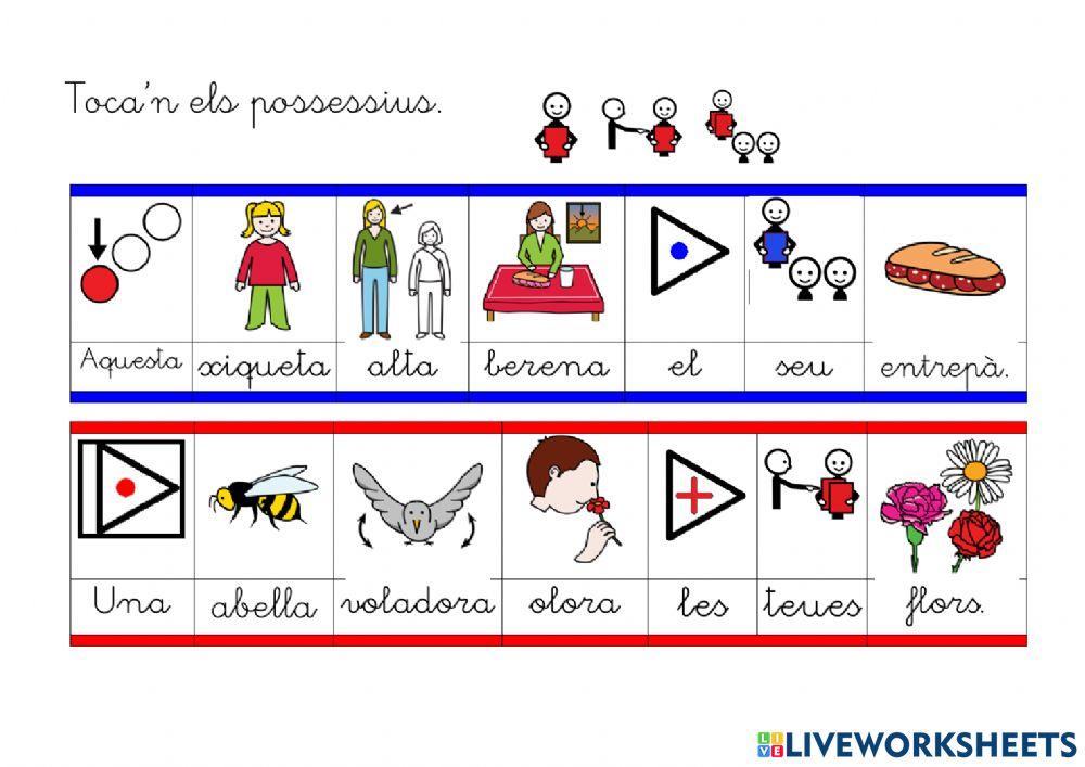 Identificar els determinants demostratius i possessius.