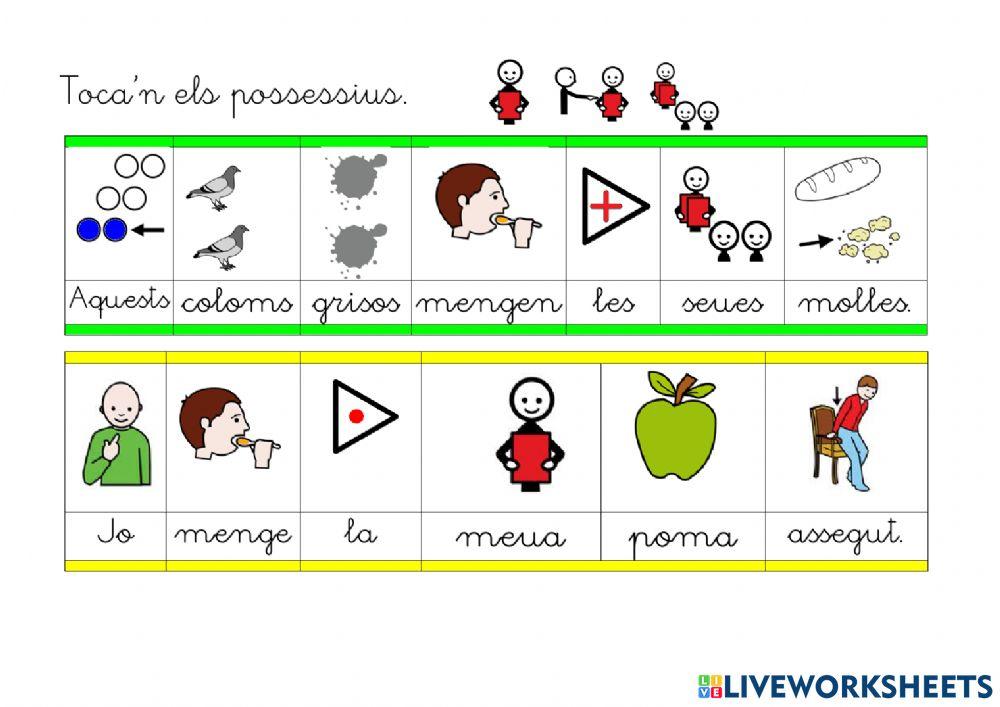 Identificar els determinants demostratius i possessius.