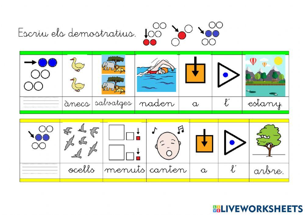 Escriure determinants demostratius i possessius