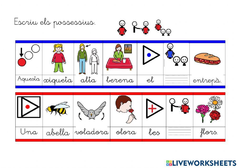 Escriure determinants demostratius i possessius