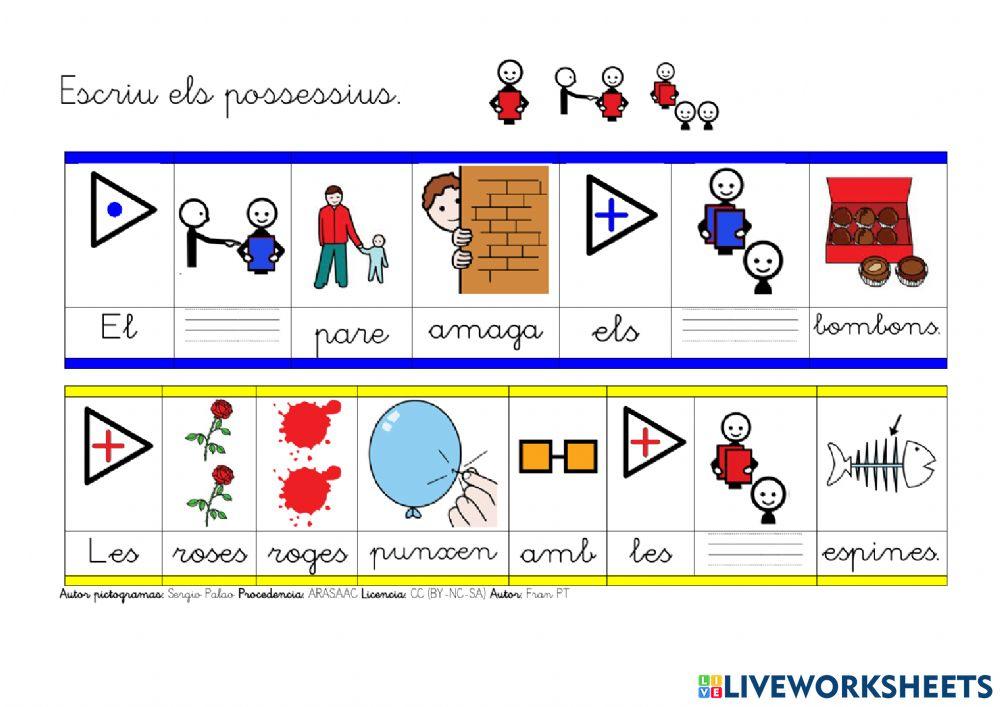 Escriure determinants demostratius i possessius