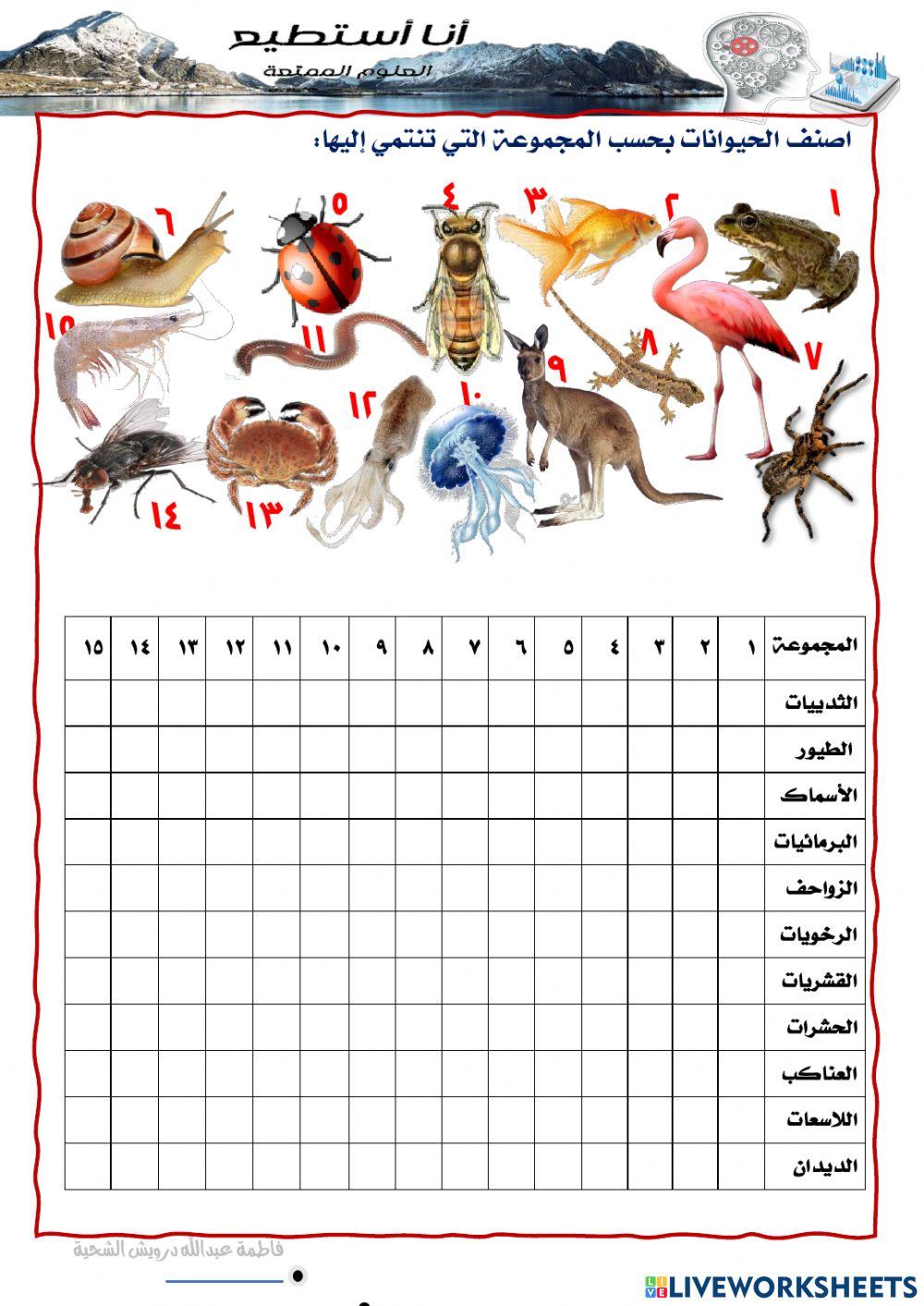 اللافقاريات