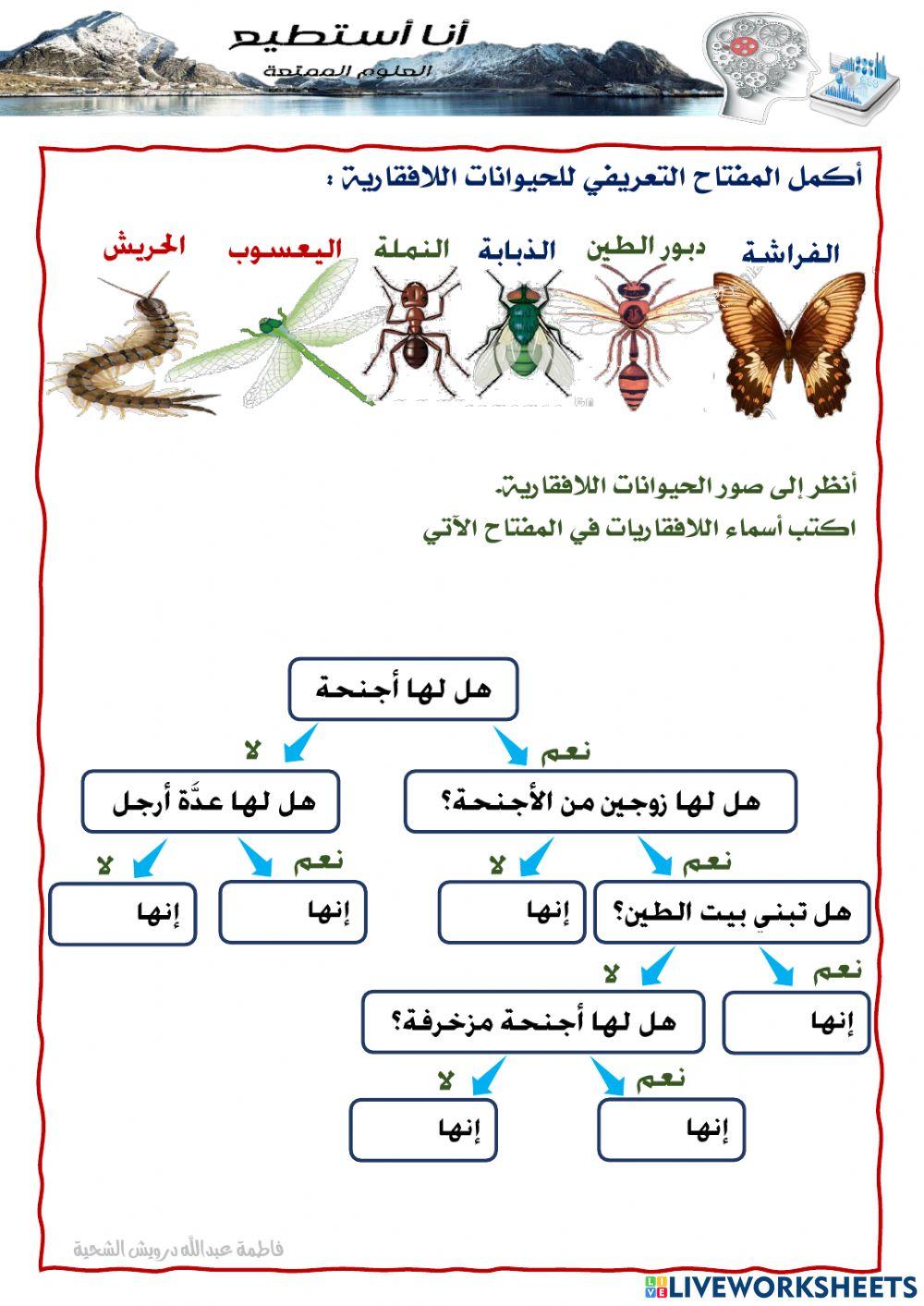 مفاتيح تعريفية
