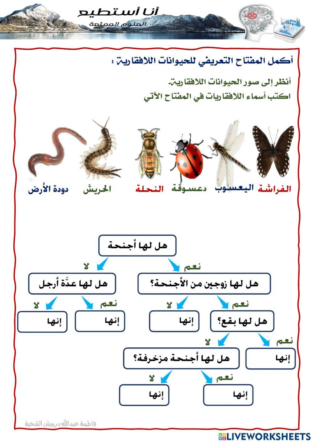 مفاتيح تعريفية