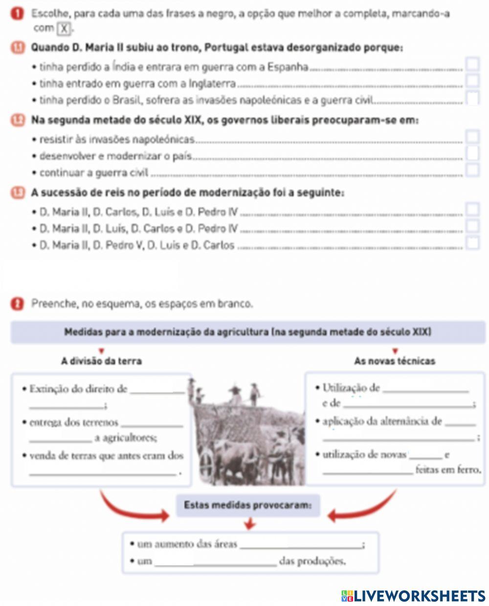 Modernização da agricultura século XIX