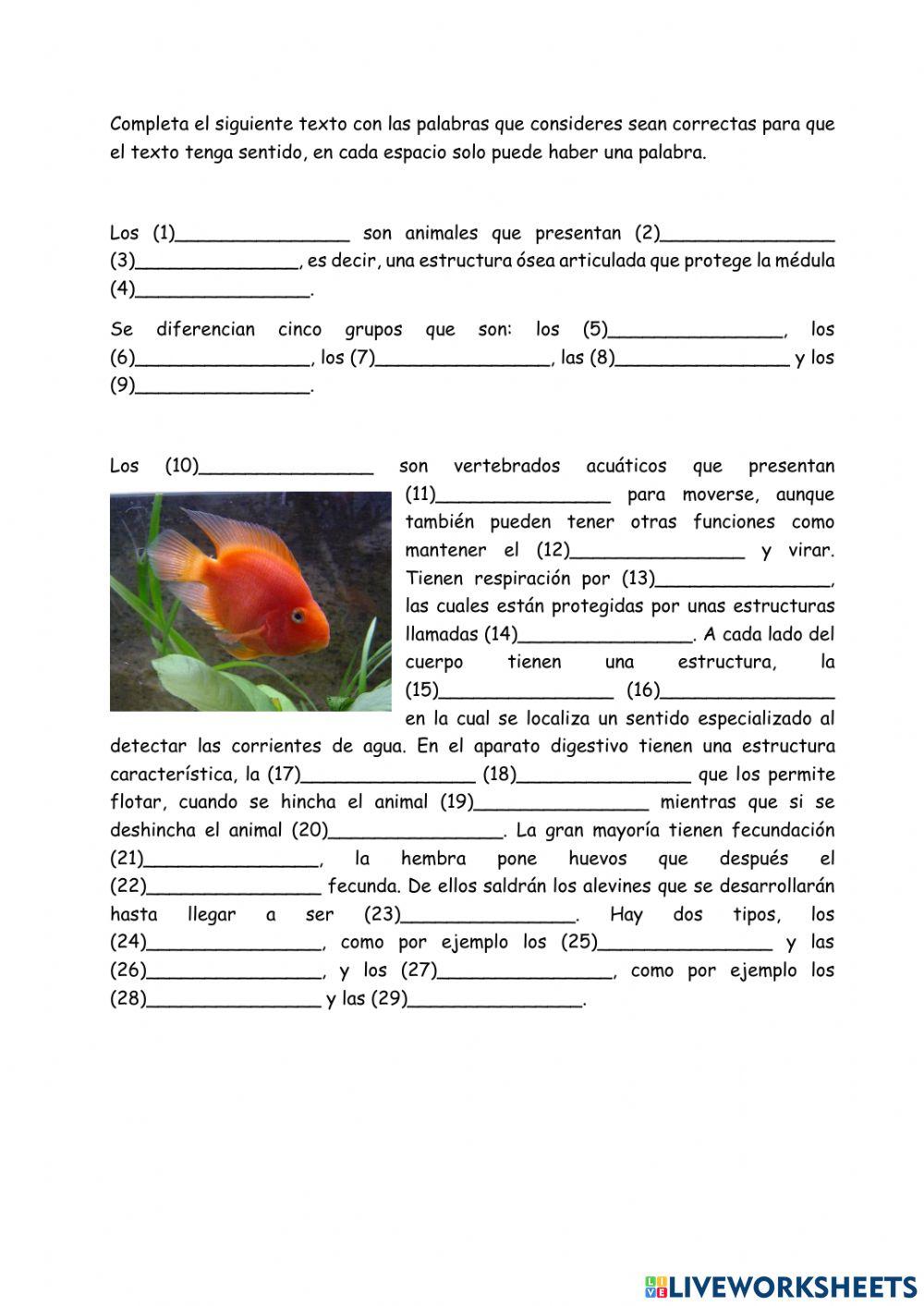 Animales vertebrados - peces