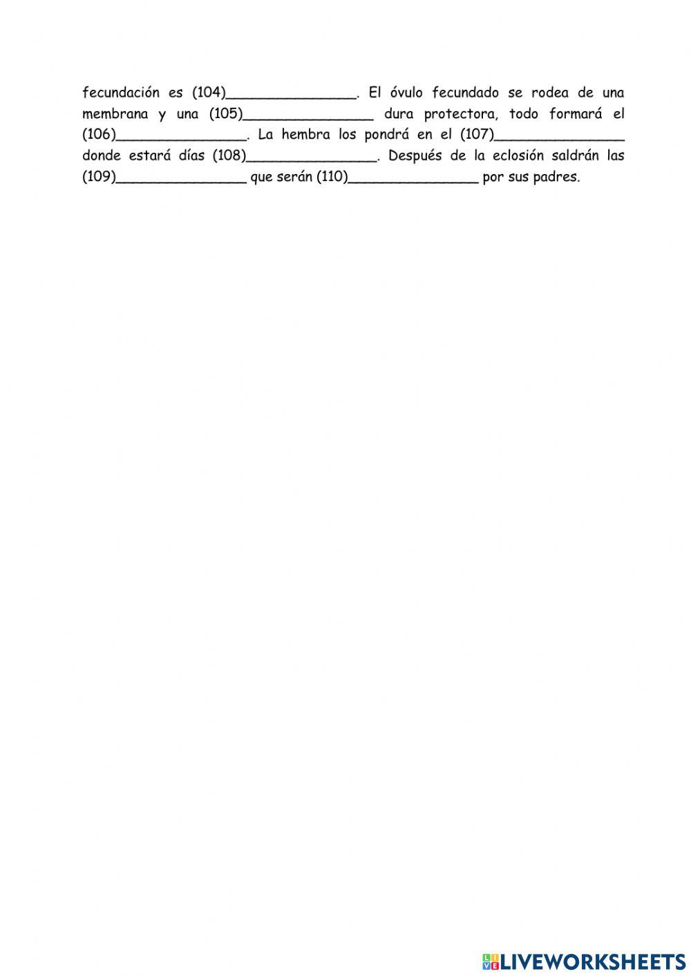 Animales vertebrados - aves