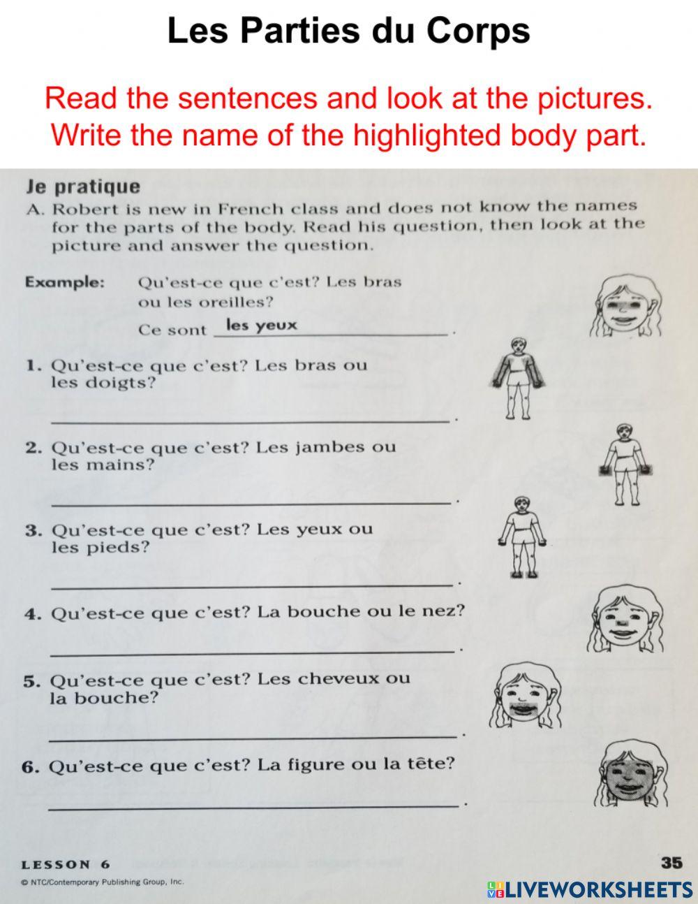 Identify the highlighted body part