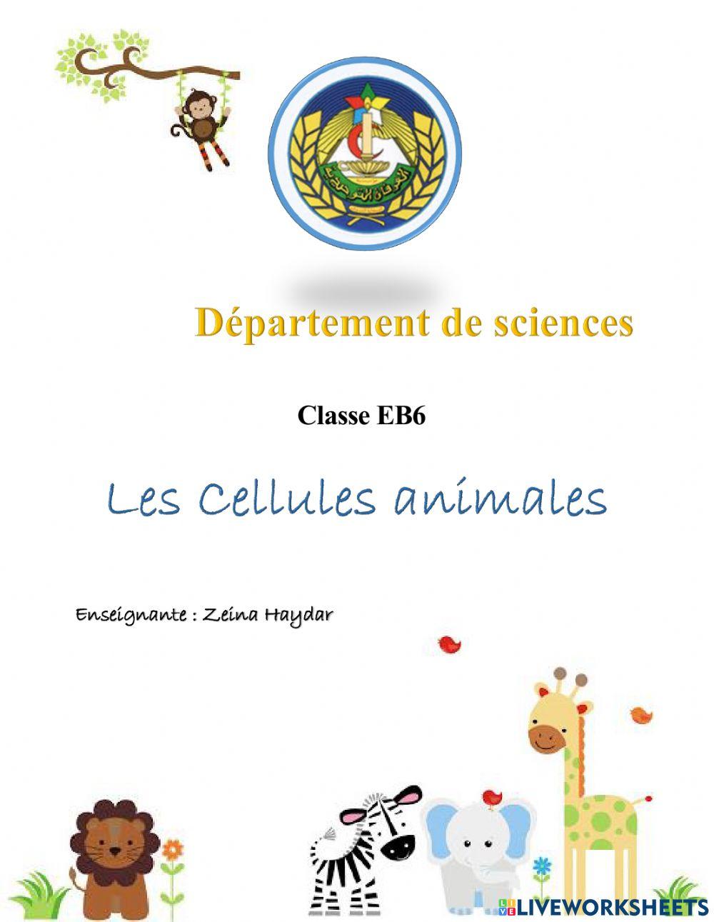 Les cellules animales