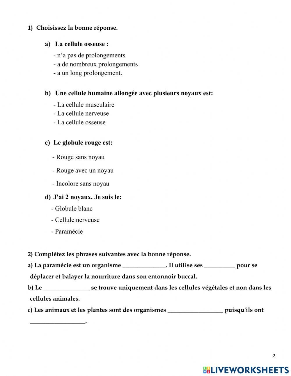 Les cellules animales