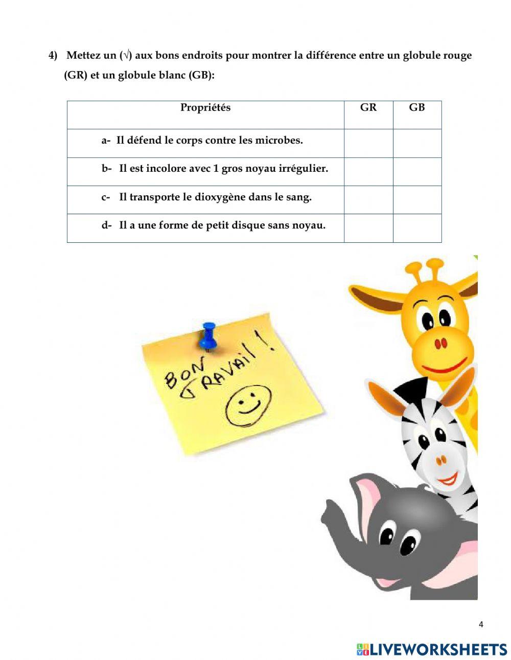 Les cellules animales