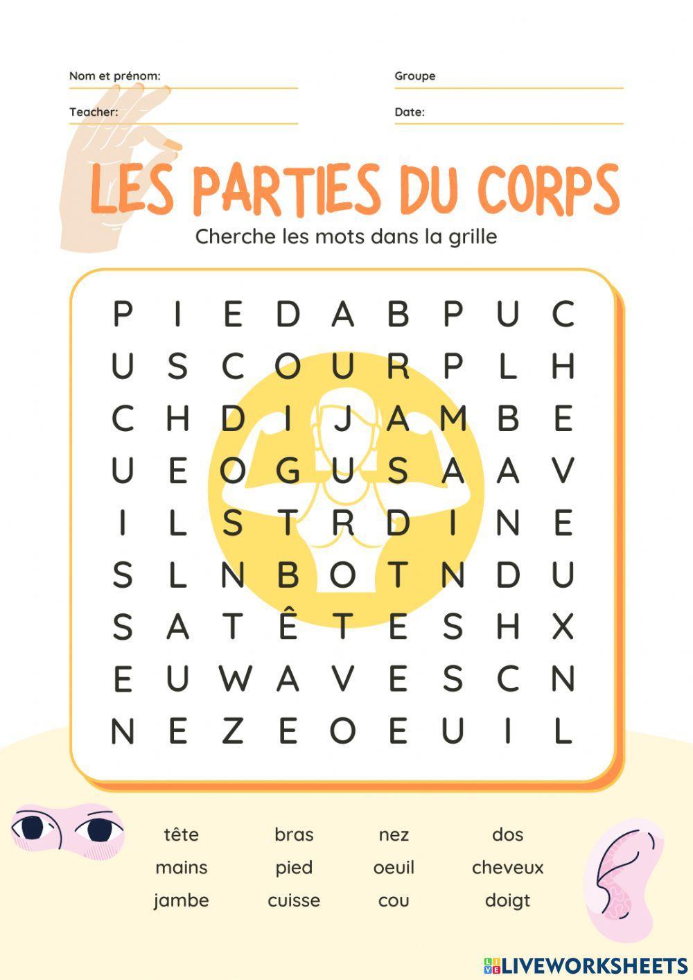 Les parties du corps