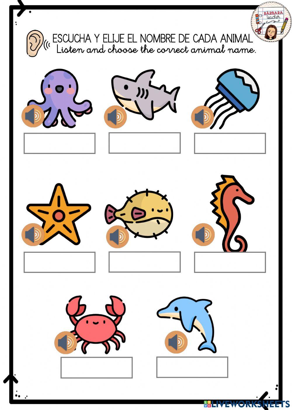 Down the ocean animals