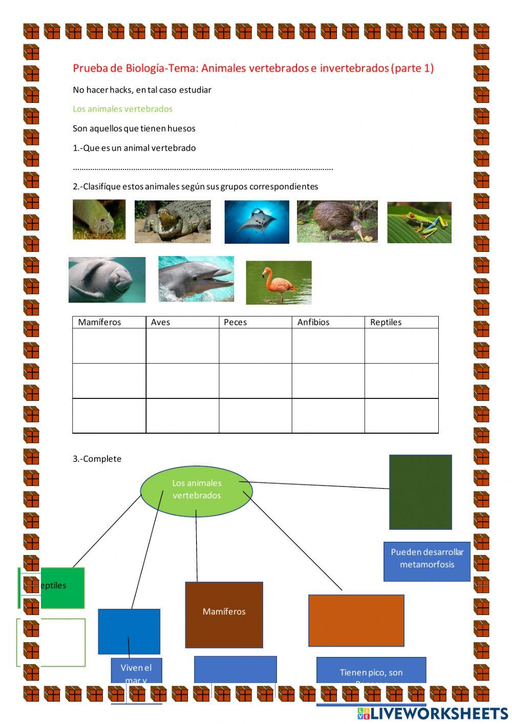 Animales vertebrados e invertebrados parte 1