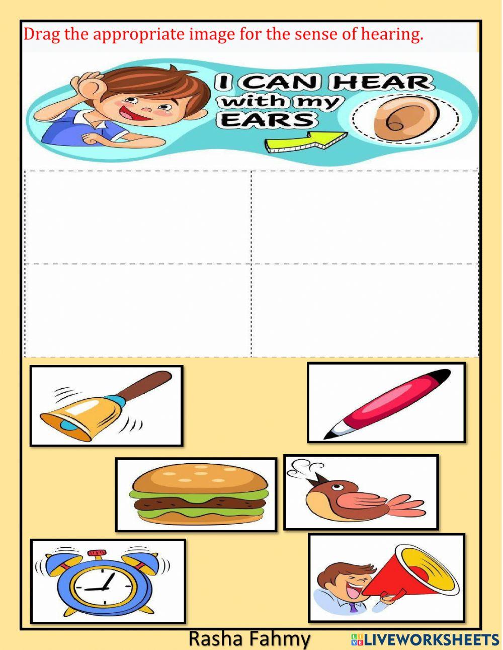 Drag the appropriate image for the sense of hearing