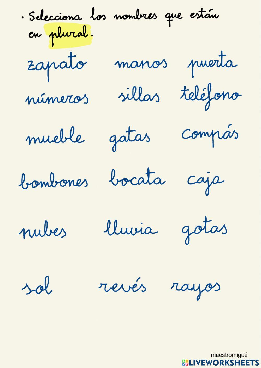 El número de los nombres. Plural.