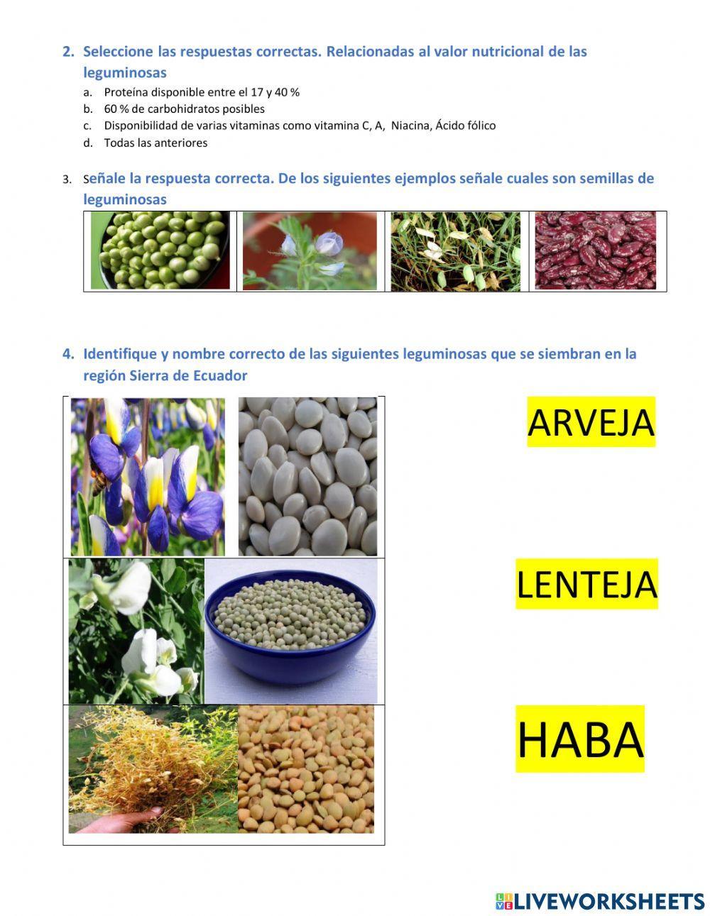 Siembra y cultivo de leguminosas